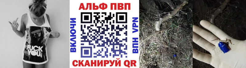 A PVP СК Ухта