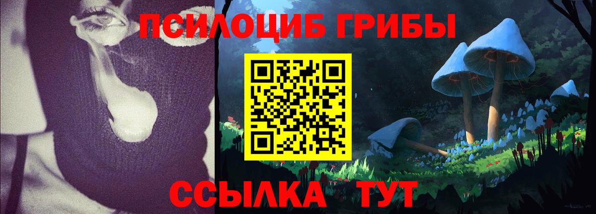Псилоцибиновые грибы мухоморы Ухта