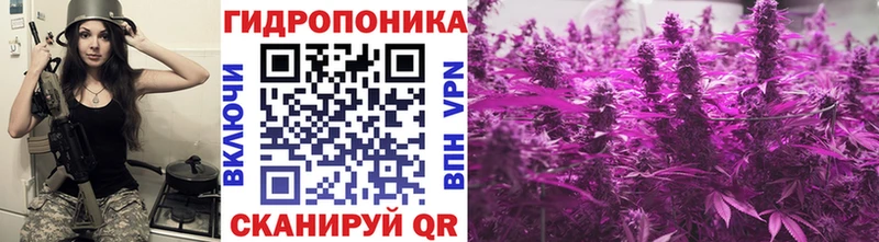 Бошки марихуана семена  наркотики  Ухта 