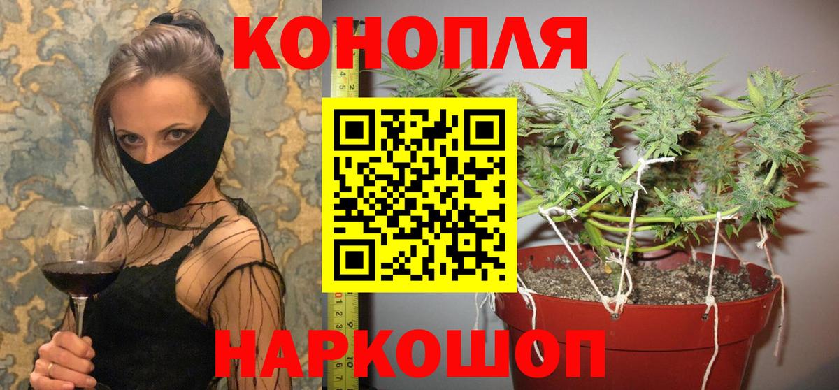 Конопля Ganja  Вход с VPN  Ухта  Конопля THC 21%  Марихуана планчик 
